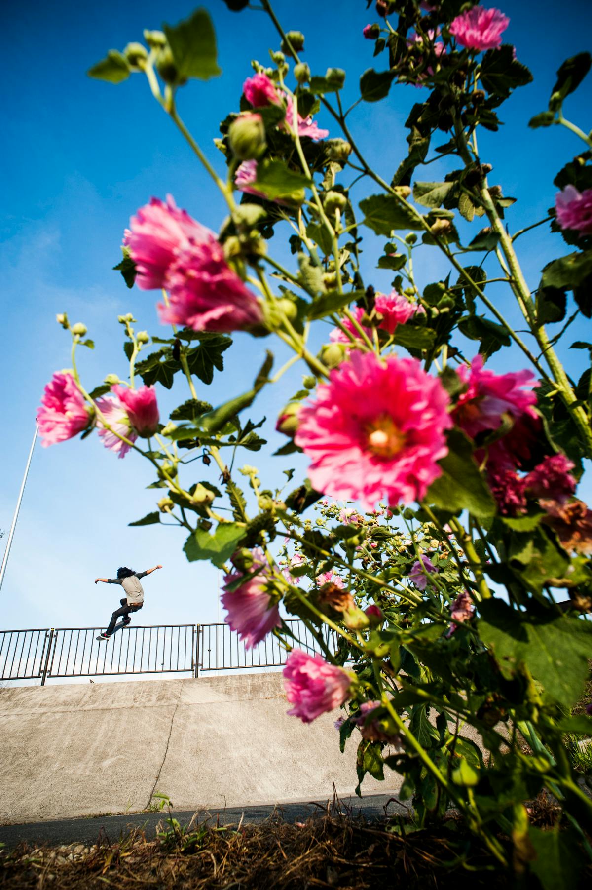 RYOTA ABE, FRONTSIDE SMITH GRIND, SAITAMA 2015