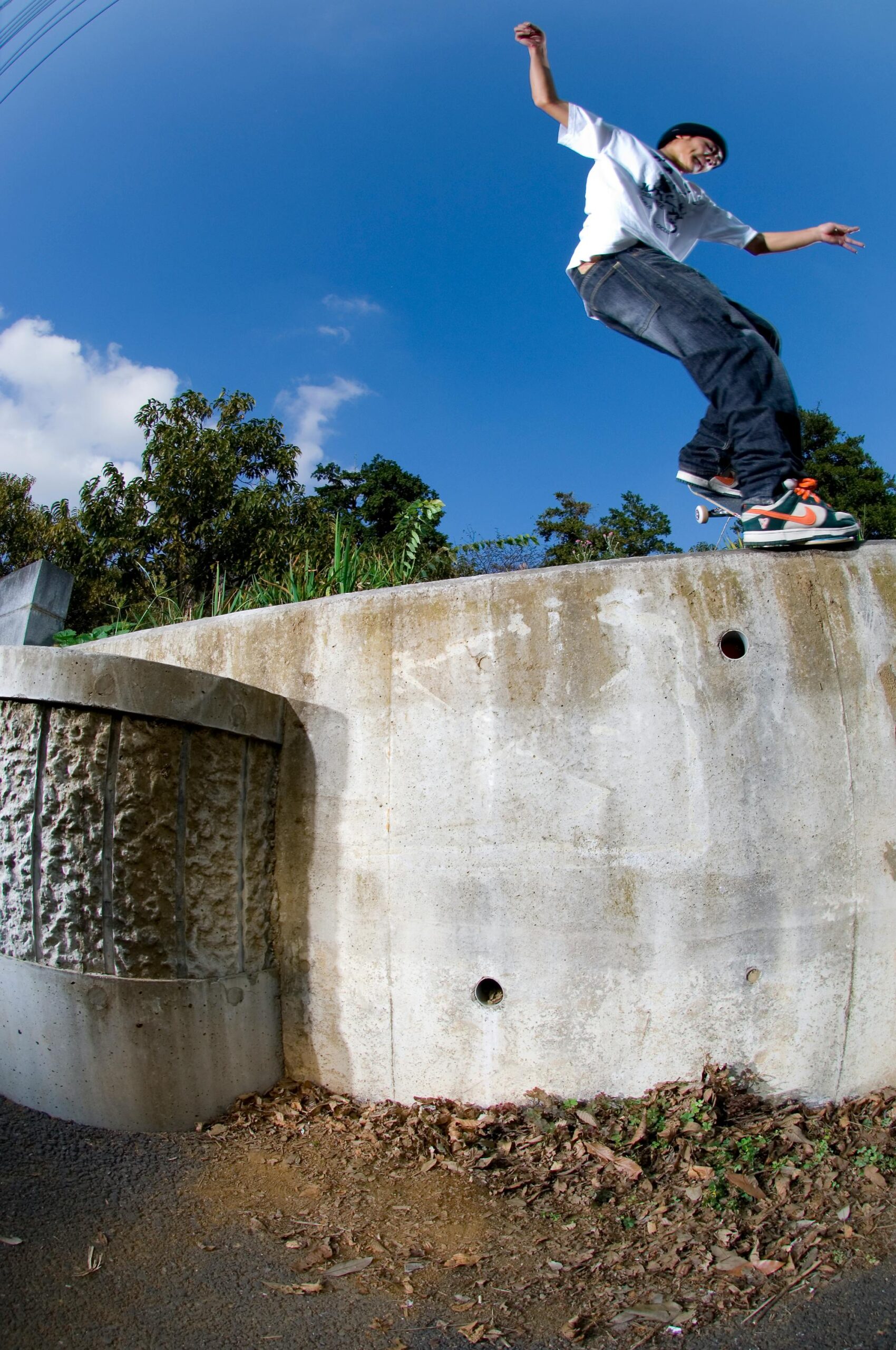 TANI, BACKSIDE BLUNT-SLIDE, 2006