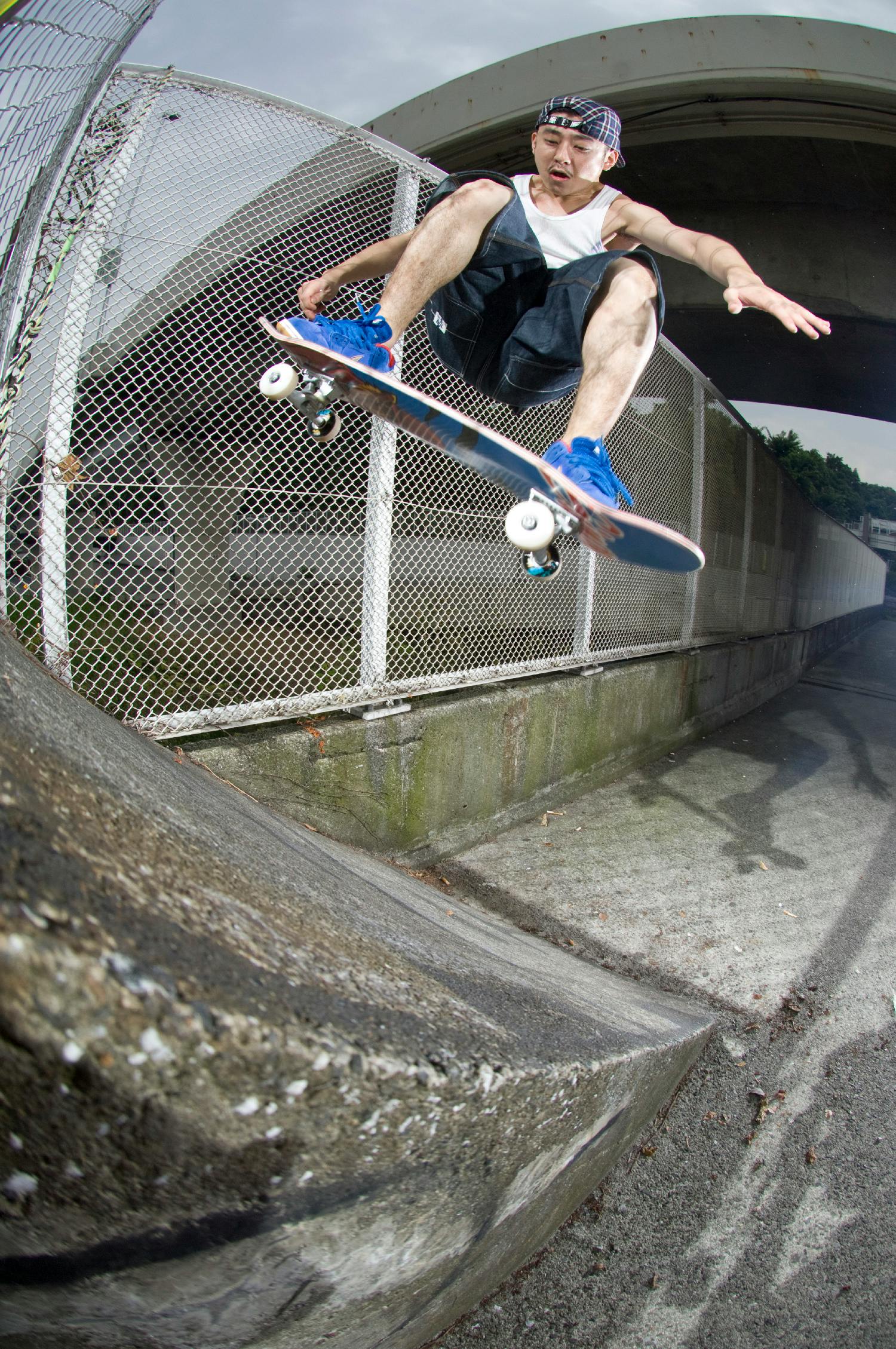 SHINGO IWASAKI, FRONTSIDE OLLIE, 2010 
