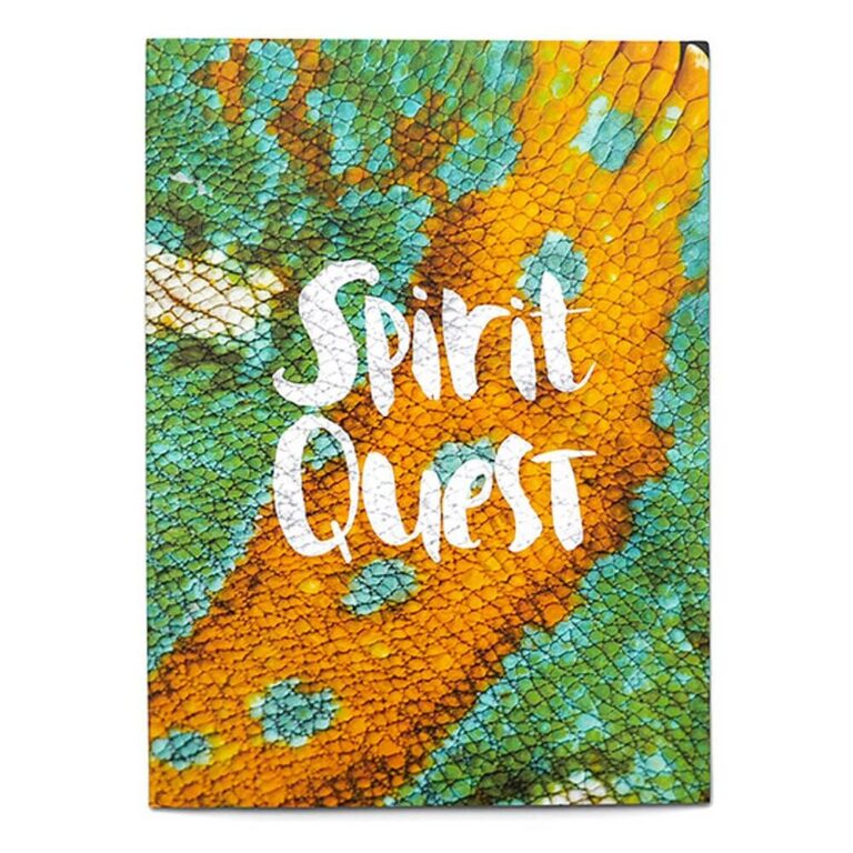 『Spirit Quest』が公開から10年  